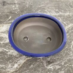 Quality Blue Oval Bonsai Pot (24cm) -BonsaiHub Shop Screenshot 2023 02 27 at 10.49.301