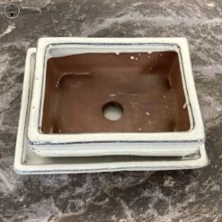 Cream Rectangle Bonsai Pot & Drip Tray (15cm) -BonsaiHub Shop Screenshot 2023 03 28 at 10.09.451