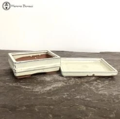 Cream Rectangle Bonsai Pot & Drip Tray (15cm) -BonsaiHub Shop Screenshot 2023 03 28 at 10.10.201