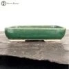 Green Glazed Rectangle Bonsai Pot (26cm) 1 Green Glazed Rectangle Bonsai Pot (26cm) -BonsaiHub Shop Screenshot 2023 05 15 at 13.42.581 1