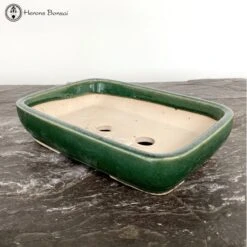 Green Glazed Rectangle Bonsai Pot (26cm) -BonsaiHub Shop Screenshot 2023 05 15 at 13.44.151 1