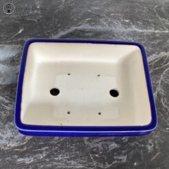 Blue Glazed Bonsai Pot (24cm) -BonsaiHub Shop Screenshot 2023 05 16 at 09.17.10