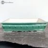 Green Crackle Glazed Bonsai Pot (32cm) -BonsaiHub Shop Screenshot 2023 05 16 at 09.58.391