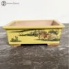 Yellow Decorated Rectangle Ceramic Bonsai Pot (19cm) -BonsaiHub Shop Screenshot 2023 05 16 at 10.04.141