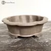 Unglazed Lotus Shaped Pot (27.5cm) -BonsaiHub Shop Screenshot 2023 05 16 at 11.32.161