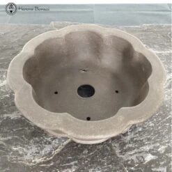 Unglazed Lotus Shaped Pot (27.5cm) -BonsaiHub Shop Screenshot 2023 05 16 at 11.33.58