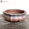 Two Tone Lotus Shape Bonsai Pot (31cm) -BonsaiHub Shop Screenshot 2023 05 16 at 11.38.591