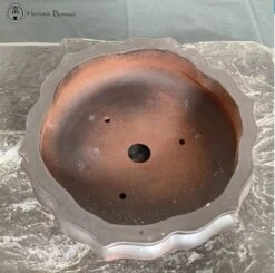 Two Tone Lotus Shape Bonsai Pot (31cm) -BonsaiHub Shop Screenshot 2023 05 16 at 11.42.421
