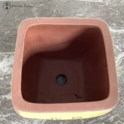 Decorated Cascade Bonsai Pot (18cm) -BonsaiHub Shop Screenshot 2023 05 16 at 12.13.05