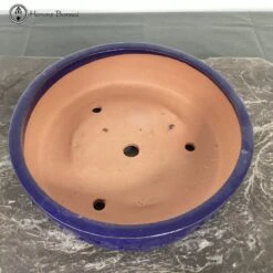 Blue Glazed Drum Pot (36cm) -BonsaiHub Shop Screenshot 2023 05 17 at 09.16.301