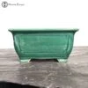 Square Green Crackle Glazed Pot (21cm) -BonsaiHub Shop Screenshot 2023 05 17 at 09.30.411