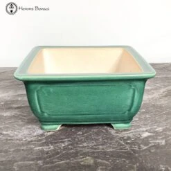 Square Green Crackle Glazed Pot (21cm) -BonsaiHub Shop Screenshot 2023 05 17 at 09.31.241