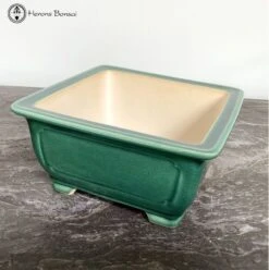 Square Green Crackle Glazed Pot (21cm) -BonsaiHub Shop Screenshot 2023 05 17 at 09.32.091
