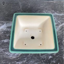 Square Green Crackle Glazed Pot (21cm) -BonsaiHub Shop Screenshot 2023 05 17 at 09.32.46