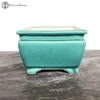 Square Pale Green Crackle Glazed Pot (21cm) -BonsaiHub Shop Screenshot 2023 05 17 at 09.39.551