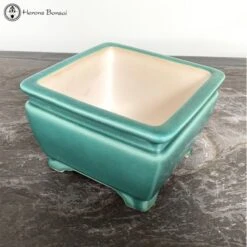 Square Pale Green Crackle Glazed Pot (21cm) -BonsaiHub Shop Screenshot 2023 05 17 at 09.40.241