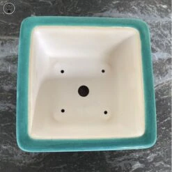 Square Pale Green Crackle Glazed Pot (21cm) -BonsaiHub Shop Screenshot 2023 05 17 at 09.41.061