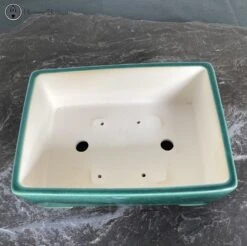 Green Crackle Glaze Rectangle Ceramic Bonsai Pot (27cm) -BonsaiHub Shop Screenshot 2023 05 17 at 10.11.10