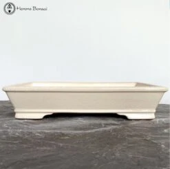 Cream Crackle Glazed Ceramic Bonsai Pot (31.5cm)