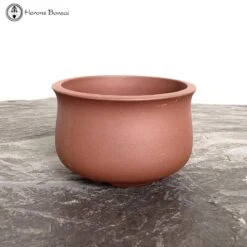 Unglazed Belly Pot With Chinese Decoration (13cm) -BonsaiHub Shop Screenshot 2023 05 18 at 11.17.48