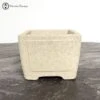 Ancient Yellow Square Bonsai Pot (10.5cm) -BonsaiHub Shop Screenshot 2023 05 18 at 11.22.531