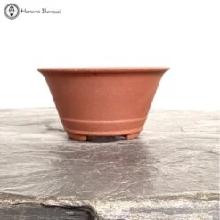 Round Unglazed Ceramic Pot (20cm) -BonsaiHub Shop Screenshot 2023 05 18 at 12.02.59
