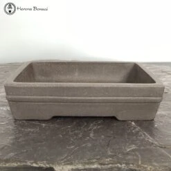 Unglazed Rectangle Ceramic Bonsai Pot (23cm) -BonsaiHub Shop Screenshot 2023 05 19 at 13.46.1321