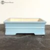 Baby Blue Rectangle Glazed Bonsai Pot (27cm) -BonsaiHub Shop Screenshot 2023 05 22 at 10.43.461