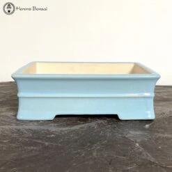 Baby Blue Rectangle Glazed Bonsai Pot (27cm)
