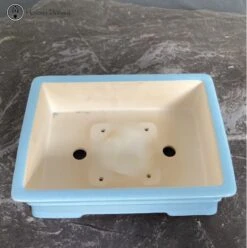 Baby Blue Rectangle Glazed Bonsai Pot (27cm) -BonsaiHub Shop Screenshot 2023 05 22 at 10.46.13