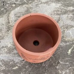 Unglazed Round Pot With Chinese Decoration (12cm) -BonsaiHub Shop Screenshot 2023 05 22 at 12.45.581