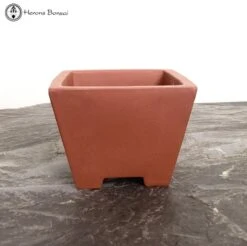 Terracotta Cascade Pot (12.5cm Tall) -BonsaiHub Shop Screenshot 2023 05 22 at 12.51.221
