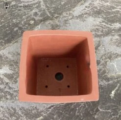 Terracotta Cascade Pot (12.5cm Tall) -BonsaiHub Shop Screenshot 2023 05 22 at 12.52.41