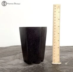 Hexagonal Unglazed Cascade Pot (13cm Tall)