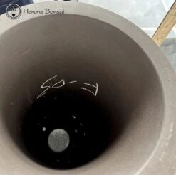 Round Unglazed Cascade Pot (28cm Tall) -BonsaiHub Shop Screenshot 2023 06 16 at 11.14.311