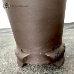 Front Page 18 Front Page -BonsaiHub Shop Screenshot 2023 06 16 at 11.17.441