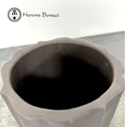 Round Unglazed Bonsai Pot 24.5cm Tall -BonsaiHub Shop Screenshot 2023 06 16 at 12.26.271