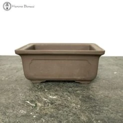 Unglazed Rectangle Bonsai Pot (12.5cm)