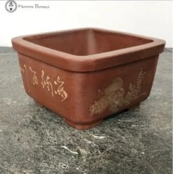 Unglazed Square Ceramic Bonsai Pot With Chinese Decoration (11.5cm) -BonsaiHub Shop Screenshot 2023 07 19 at 12.51.581