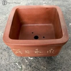 Unglazed Square Ceramic Bonsai Pot With Chinese Decoration (11.5cm) -BonsaiHub Shop Screenshot 2023 07 19 at 13.00.271