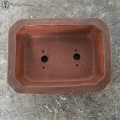Unglazed Rectangle Ceramic Bonsai Pot With Chinese Decoration (14.5cm) -BonsaiHub Shop Screenshot 2023 07 20 at 12.41.421