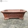 Unglazed Rectangle Ceramic Bonsai Pot With Chinese Decoration (16cm) -BonsaiHub Shop Screenshot 2023 07 20 at 13.17.131