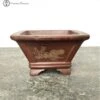 Unglazed Square Ceramic Bonsai Pot With Chinese Decoration (12cm) -BonsaiHub Shop Screenshot 2023 07 20 at 13.51.571