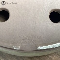 Mizutani Cream Oval Ceramic Bonsai Pot (21cm) 7 Mizutani Cream Oval Ceramic Bonsai Pot (21cm) -BonsaiHub Shop Screenshot 2023 07 21 at 10.29.48 2