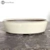 Mizutani Cream Oval Ceramic Bonsai Pot (18.5cm) -BonsaiHub Shop Screenshot 2023 07 21 at 10.35.391