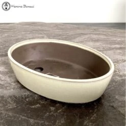 Mizutani Cream Oval Ceramic Bonsai Pot (18.5cm) -BonsaiHub Shop Screenshot 2023 07 21 at 10.36.471