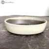 Mizutani Cream Oval Ceramic Bonsai Pot (21cm) 1 Mizutani Cream Oval Ceramic Bonsai Pot (21cm) -BonsaiHub Shop Screenshot 2023 07 21 at 10.40.491