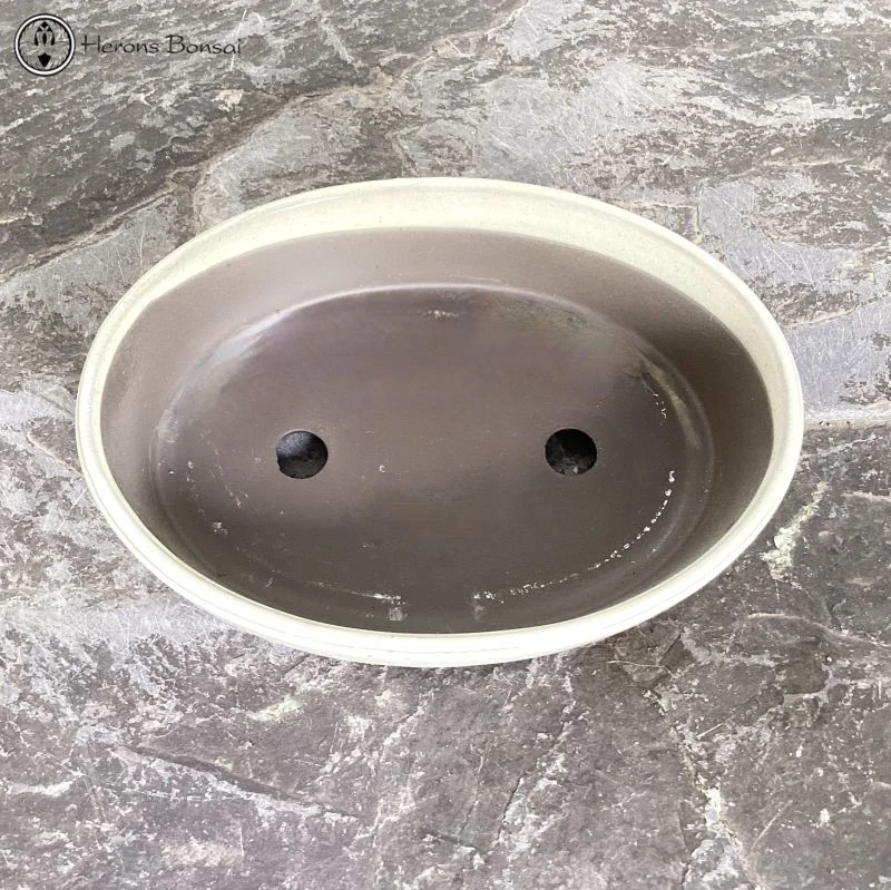 Mizutani Cream Oval Ceramic Bonsai Pot (21cm) 4 Mizutani Cream Oval Ceramic Bonsai Pot (21cm) - Image 2