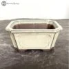 Tokoname Cream Irregular Ceramic Bonsai Pot (15cm) -BonsaiHub Shop Screenshot 2023 07 21 at 11.09.081