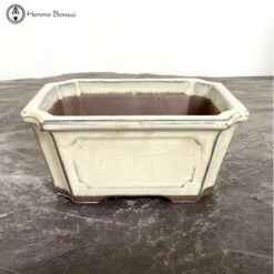 Tokoname Cream Irregular Ceramic Bonsai Pot (15cm)